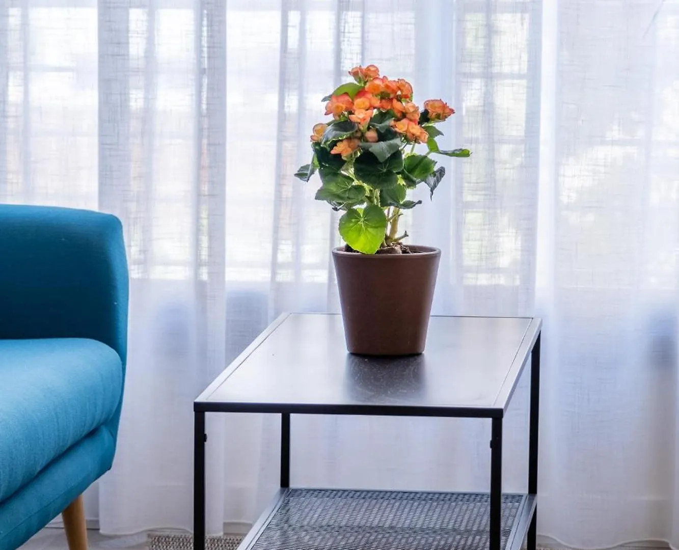 Juan De Austria Apartment Malaga